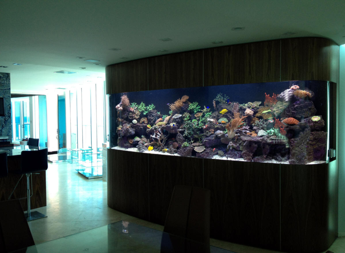 Custom Aquariums